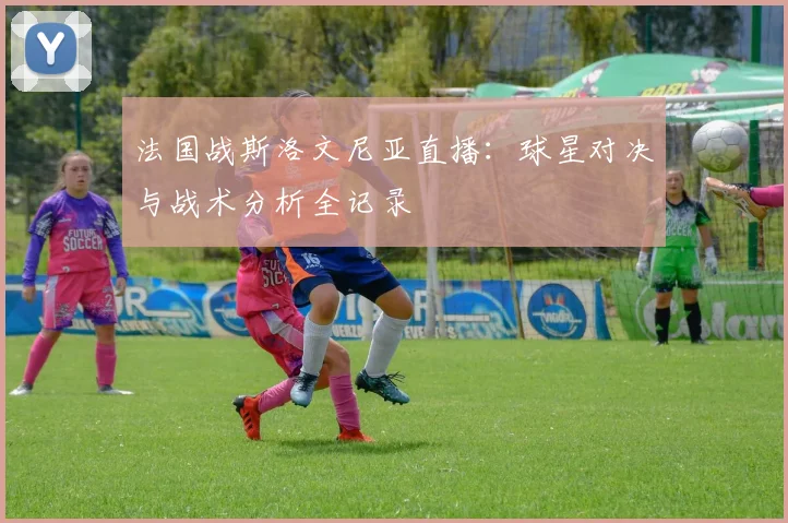 法国战斯洛文尼亚直播：球星对决与战术分析全记录