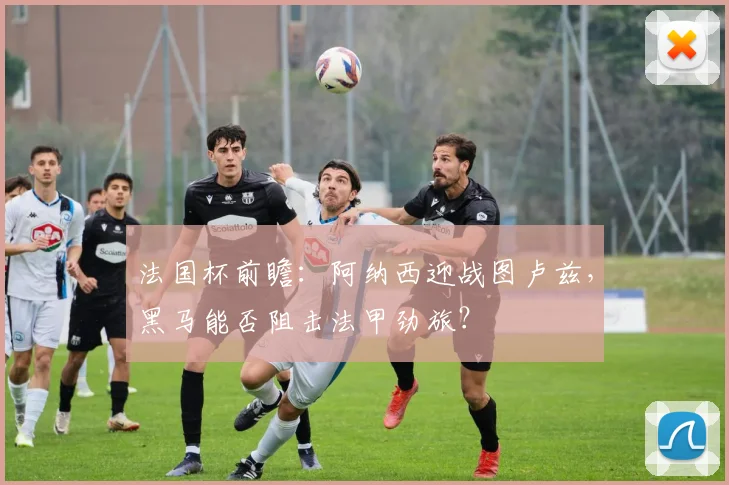 法国杯前瞻：阿纳西迎战图卢兹，黑马能否阻击法甲劲旅？