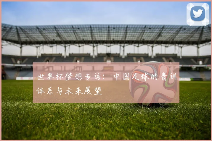 世界杯梦想专访:中国足球的青训体系与未来展望
