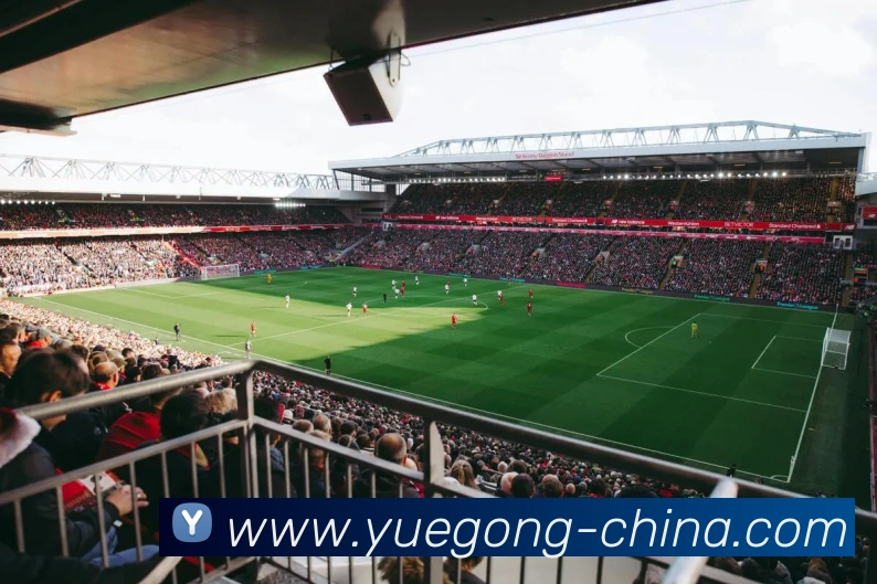 App Interface Preview