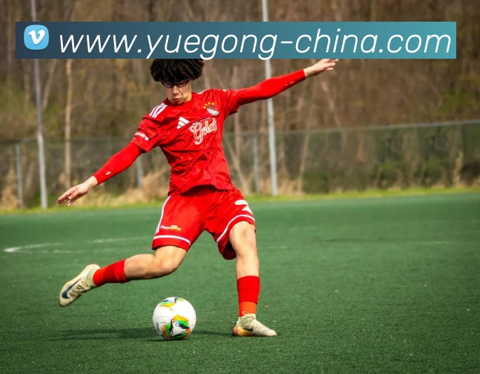 米兰在线登录入口网址APP 封面图